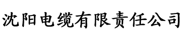 心上人app电缆厂logo